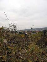 1. Bad Dürkheimer Wingertcrosslauf 27.10.200