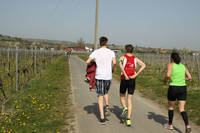 30.3. Marathon Deutsche WeinstraÃŸe